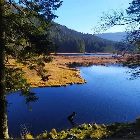 Alpehytte Chalet Lipa Situe A La Bresse, A 5 Mn De Gerardmer