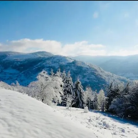 Chalet Lipa Situe A La Bresse, A 5 Mn De Gerardmer La Bresse