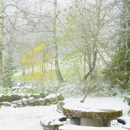 Chalet Lipa Situe A La Bresse, A 5 Mn De Gerardmer Alpehytte La Bresse