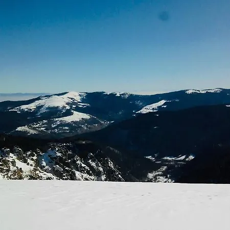 Alpehytte Chalet Lipa Situe A La Bresse, A 5 Mn De Gerardmer La Bresse