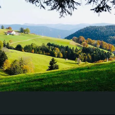 Alpehytte Chalet Lipa Situe A La Bresse, A 5 Mn De Gerardmer